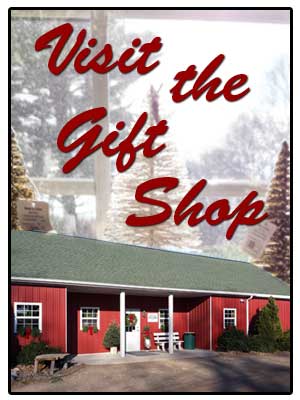 Gift Shop Image 01