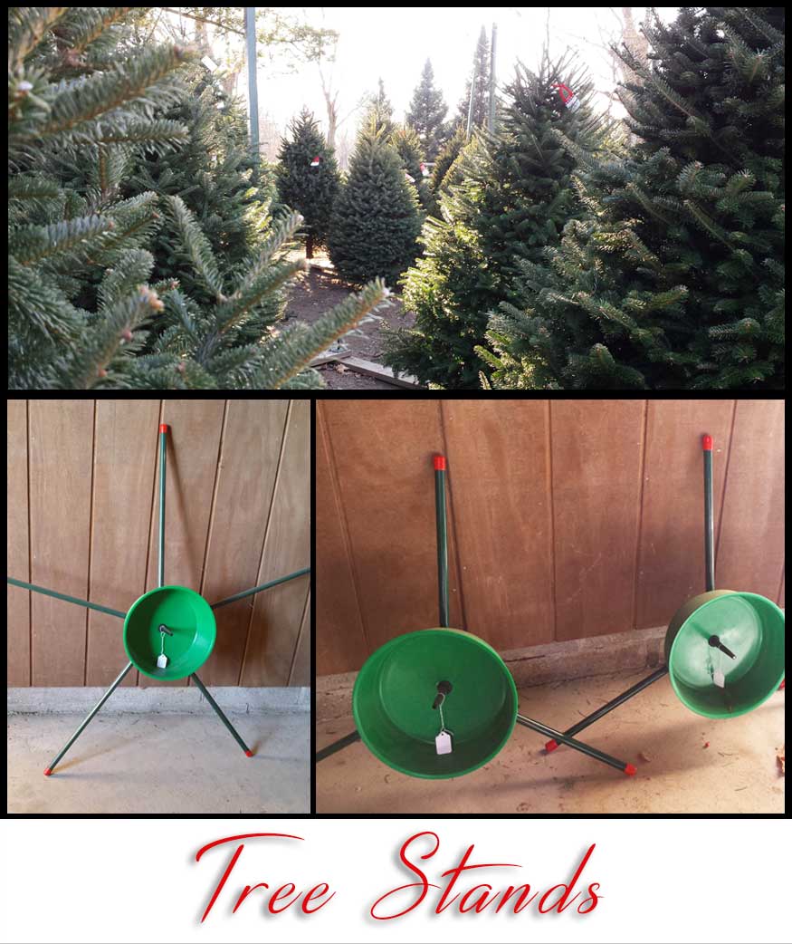 Tree_Stands